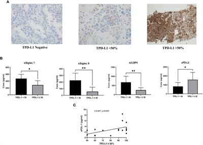 Serum immune mediators as novel predictors of response to anti-PD-1/PD-L1 therapy in non-small cell lung cancer patients with high tissue-PD-L1 expression